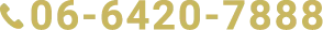 06-6420-7888